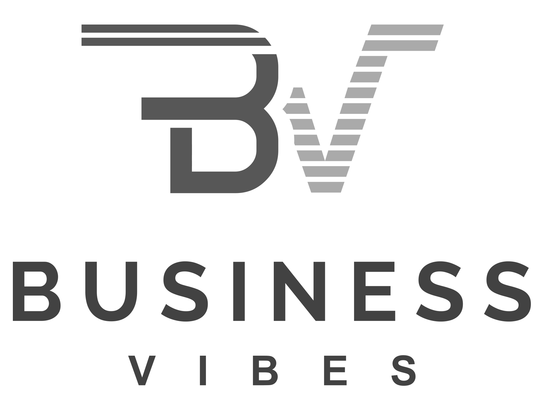 Business-Vibes-Logo-sw